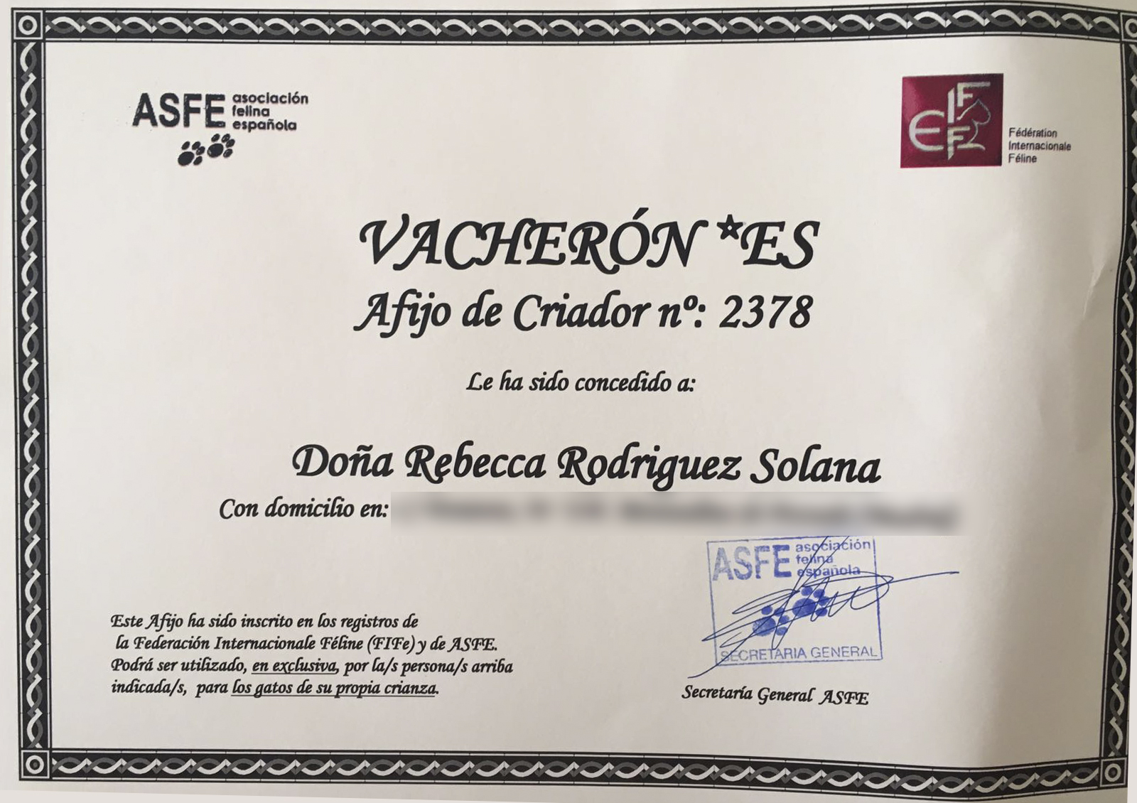 Criadero Vacheron Gatos Bosques de Noruega