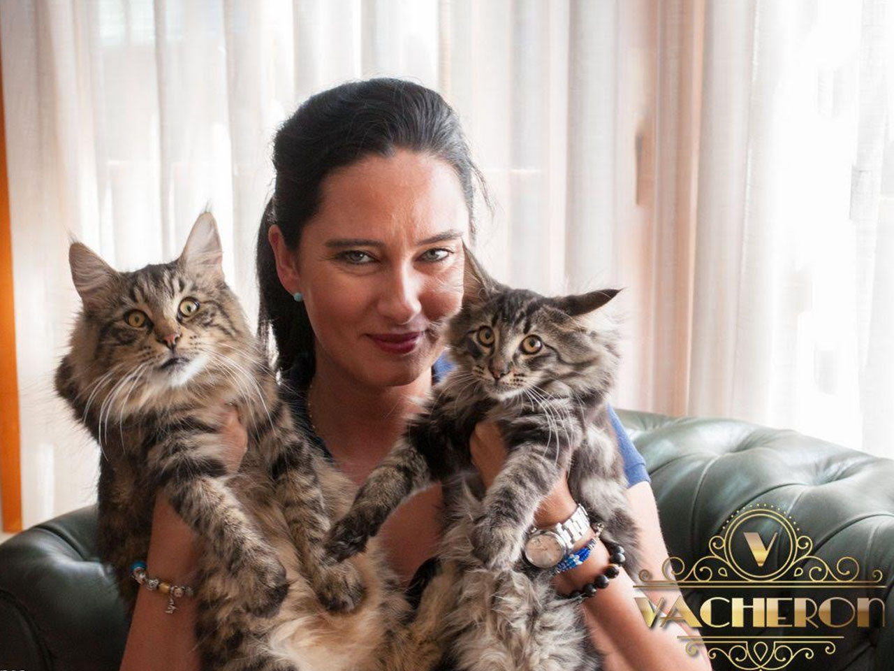 Gatos Bosques de Noruega Vacheron