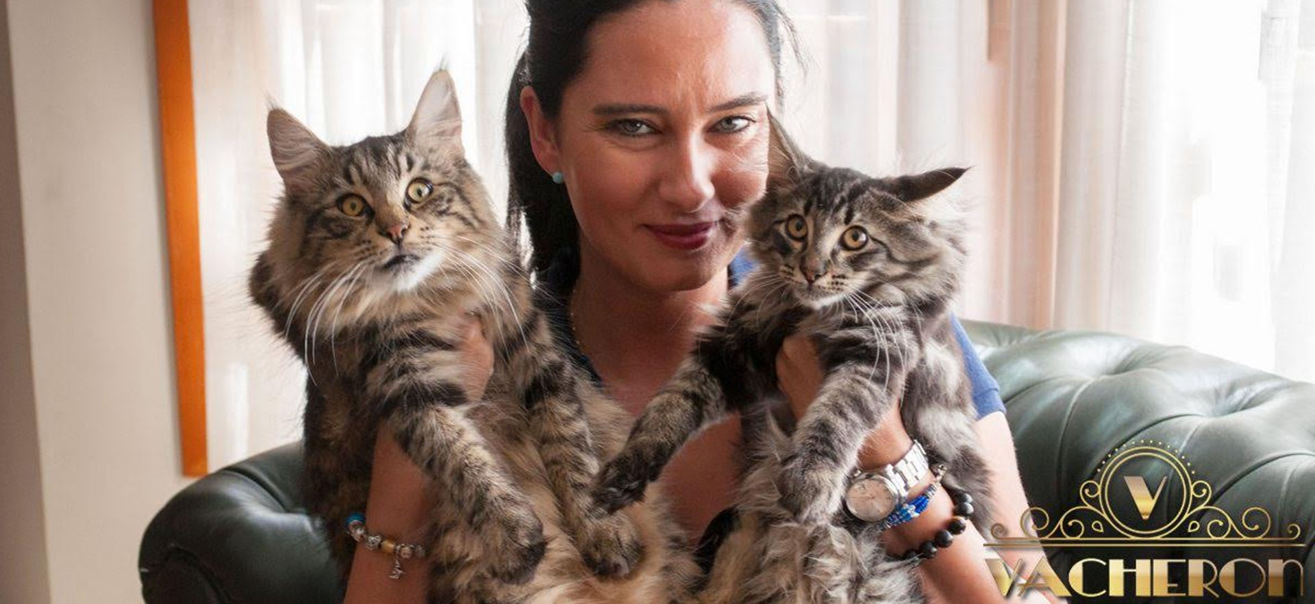 Criadero Vacheron - Gatos de los Bosques de Noruega